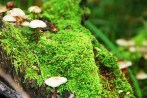 世界攀岩场馆会员权益兑换平台技术升级与新功能说明会，世界攀岩圣地排名