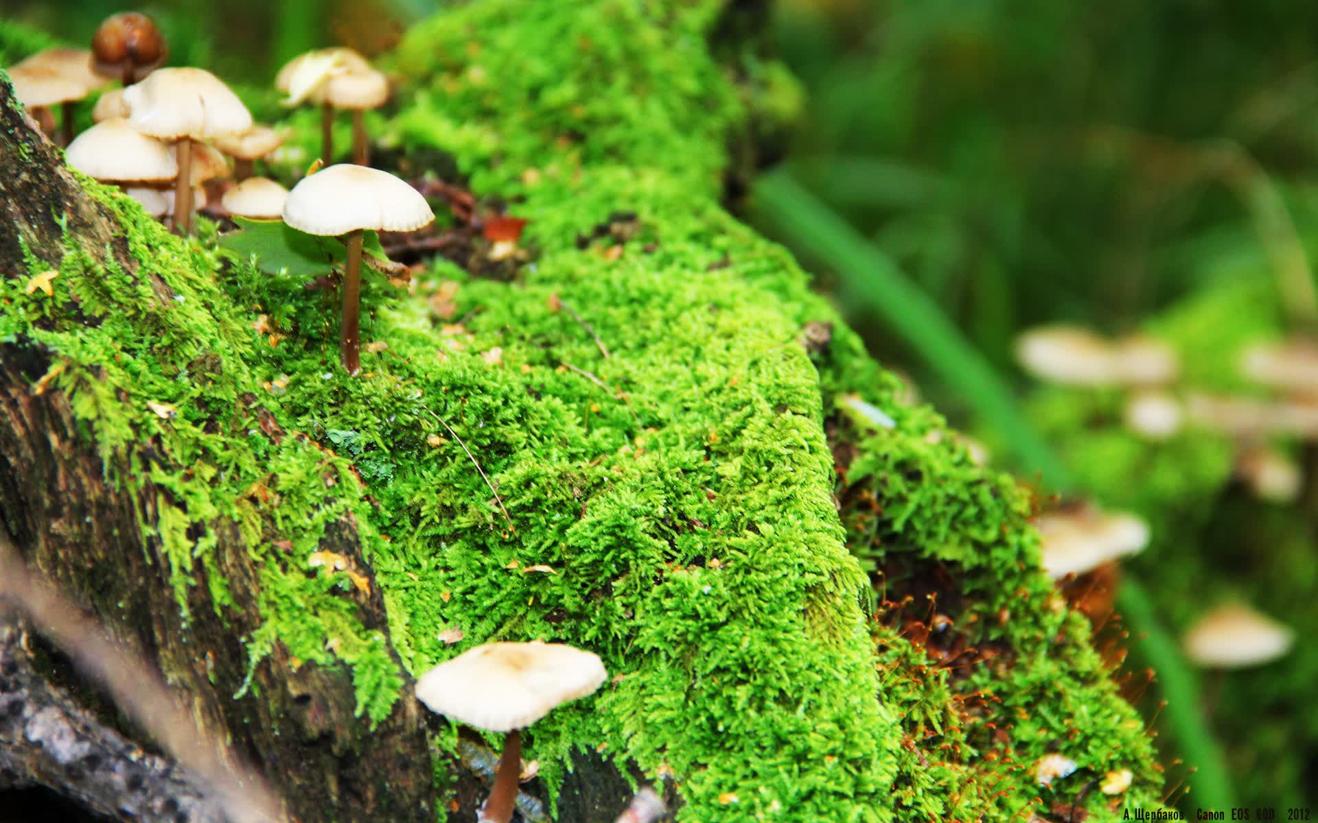 世界攀岩场馆会员权益兑换平台技术升级与新功能说明会，世界攀岩圣地排名
