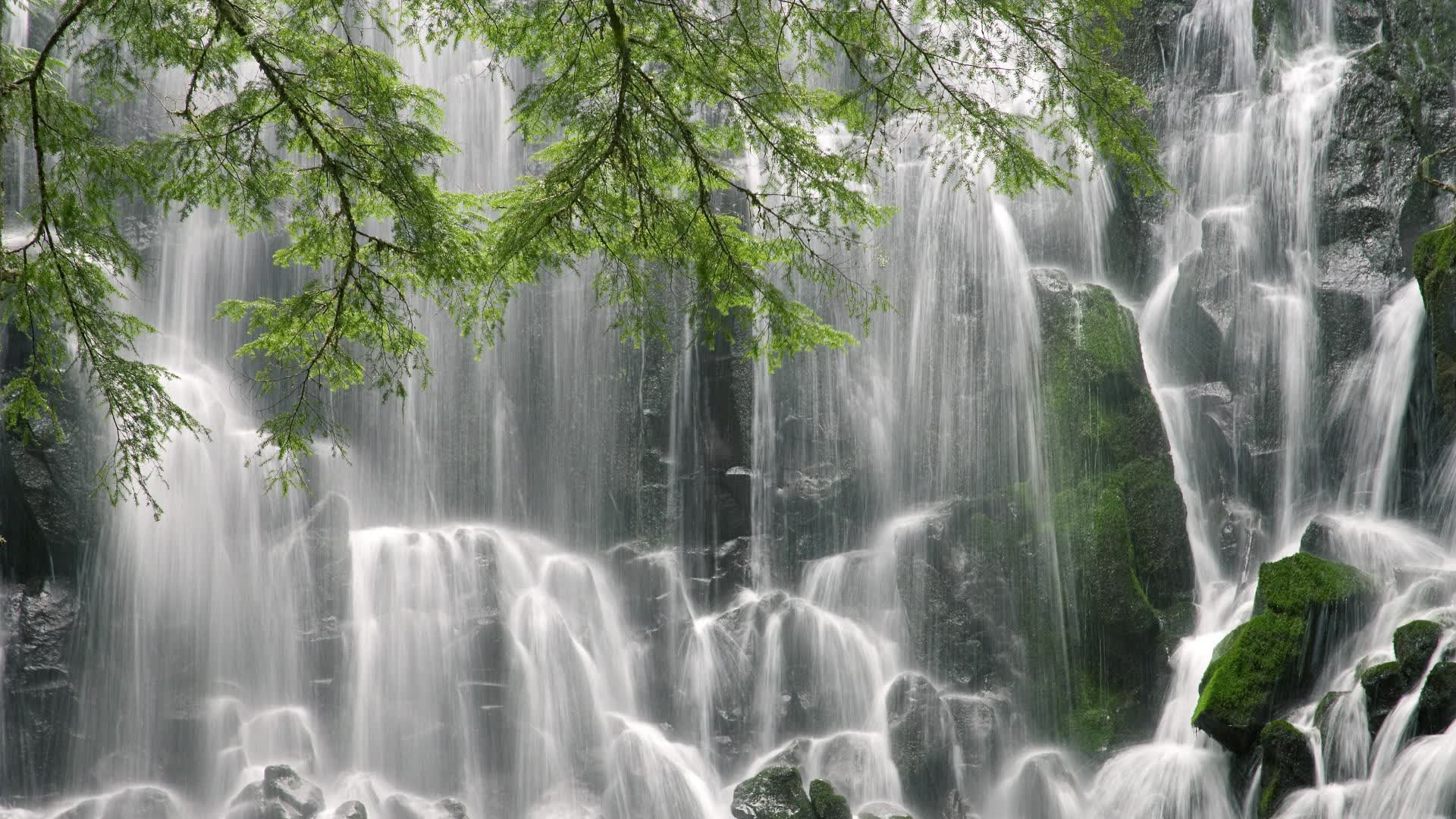世界篮球线上训练平台：沉浸式教学试点，线上篮球网课怎么上